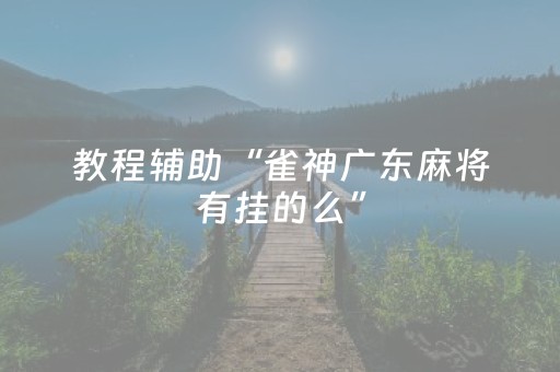 教程辅助“雀神广东麻将有挂的么”（详细透视教程）-哔哩哔哩