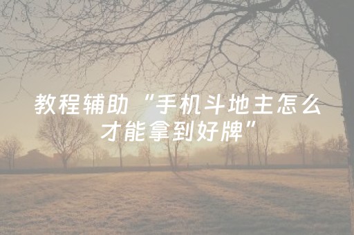 教程辅助“手机斗地主怎么才能拿到好牌”（详细透视教程）-哔哩哔哩