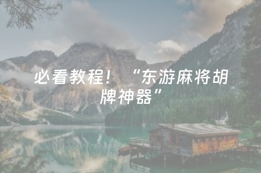 必看教程！“东游麻将胡牌神器”（详细辅助教程）-哔哩哔哩