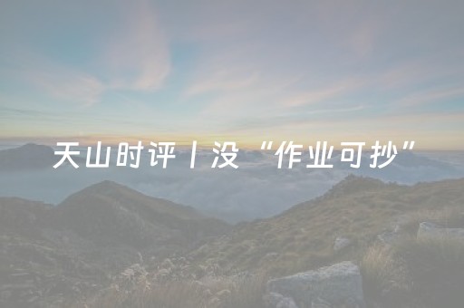 天山时评丨没“作业可抄”，新疆旅游要走自己的路