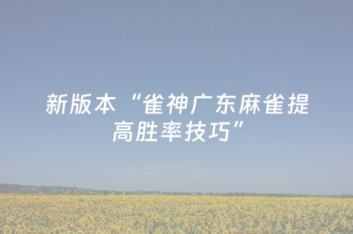 新版本“雀神广东麻雀提高胜率技巧”（详细透视教程）-哔哩哔哩