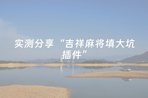 实测分享“吉祥麻将填大坑插件”（详细透视教程）-哔哩哔哩