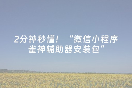 2分钟秒懂！“微信小程序雀神辅助器安装包”（详细辅助教程）-哔哩哔哩