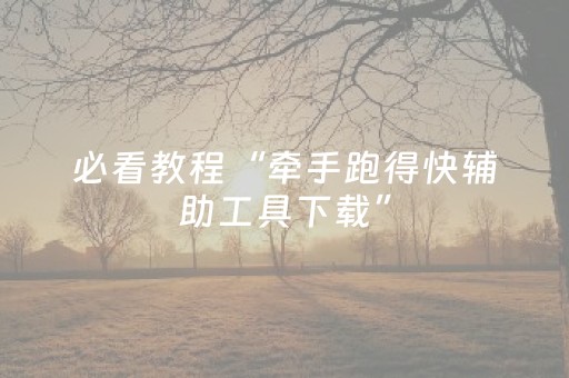必看教程“牵手跑得快辅助工具下载”（详细透视教程）-哔哩哔哩