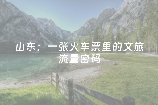 山东：一张火车票里的文旅流量密码
