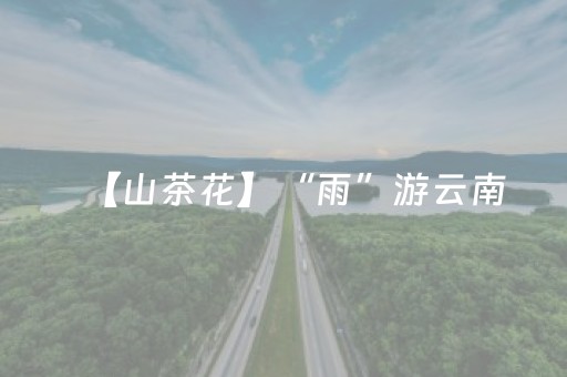 【山茶花】“雨”游云南