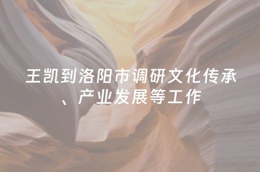 王凯到洛阳市调研文化传承、产业发展等工作