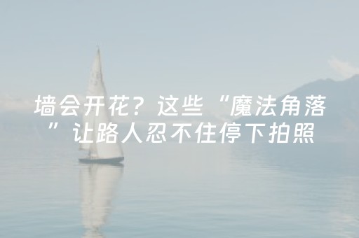 112.十八画评郑州