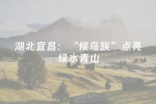 “音乐+文旅”点燃山东夏日消费