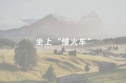 坐上“慢火车”，把乡愁开进稻田里