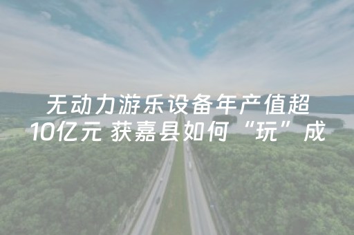 无动力游乐设备年产值超10亿元 获嘉县如何“玩”成全国第一