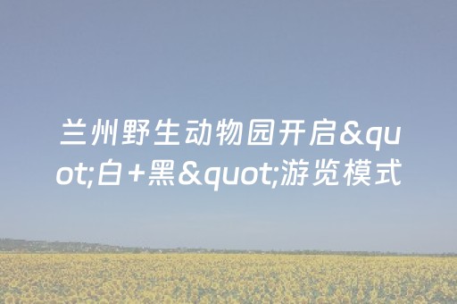 玩家必备教程“终于找到禁抢群QQ红包埋雷控制尾数作弊方法”（详细透视教程）-哔哩哔哩