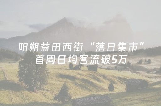 阳朔益田西街“落日集市”首周日均客流破5万