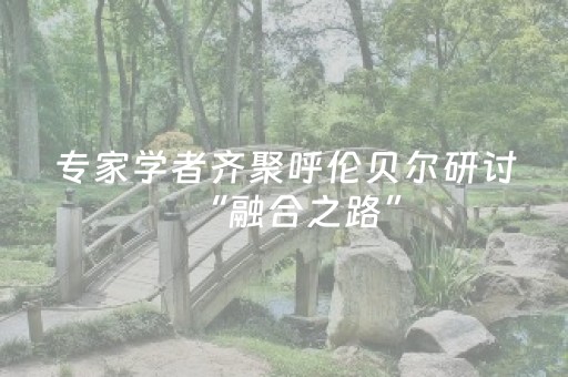 专家学者齐聚呼伦贝尔研讨“融合之路”