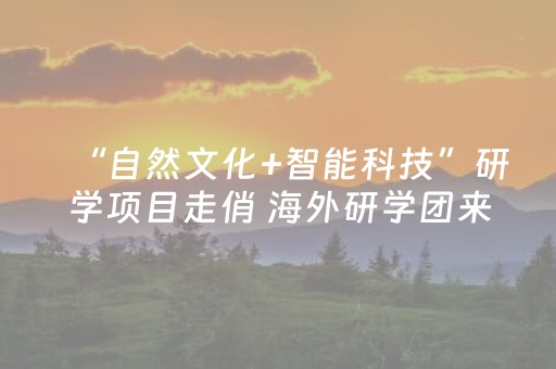 分享辅助“微信上微乐麻将挂在哪”（详细透视教程）-哔哩哔哩