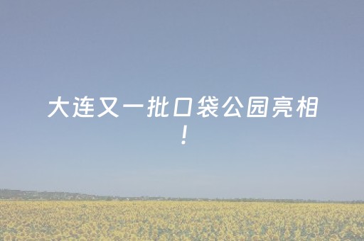 实测辅助“米友红包扫雷挂有没有”（详细透视教程）-哔哩哔哩