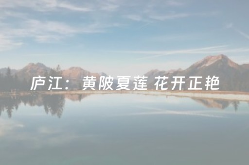 实测结果“雀神开挂教程”（详细透视教程）-哔哩哔哩