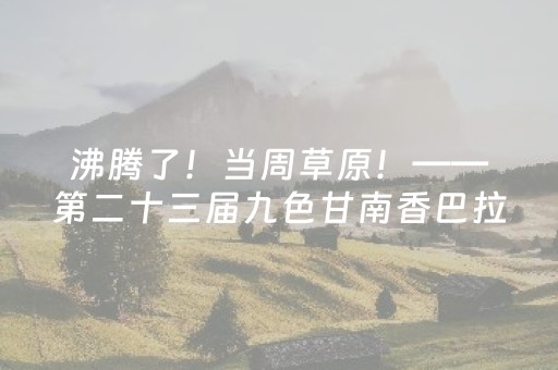终于发现“手机打麻将专用神器”（详细透视教程）-哔哩哔哩