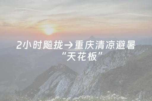 实测分析“小程序微乐麻将自建房怎么赢”（详细辅助教程）-哔哩哔哩