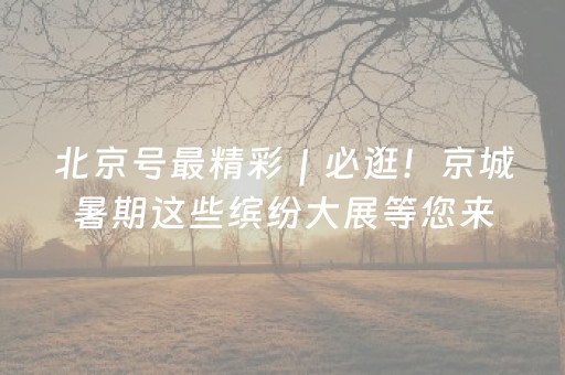 今日盘点“扑克辅助器是骗局吗”（详细透视教程）-哔哩哔哩