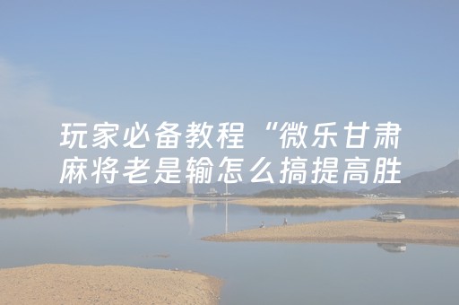 玩家必备教程“微乐甘肃麻将老是输怎么搞提高胜率（助赢神器通用版）