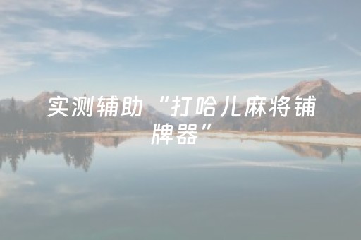 实测辅助“打哈儿麻将铺牌器”（详细透视教程）-哔哩哔哩