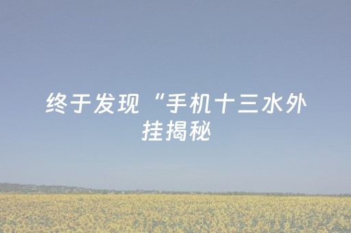 终于发现“手机十三水外挂揭秘（专用辅牌神器免安装）