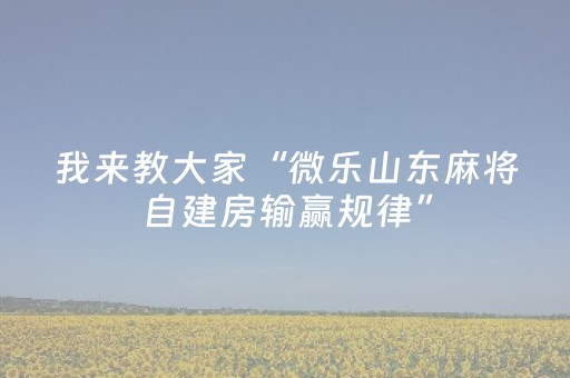我来教大家“微乐山东麻将自建房输赢规律”（详细透视教程）-哔哩哔哩