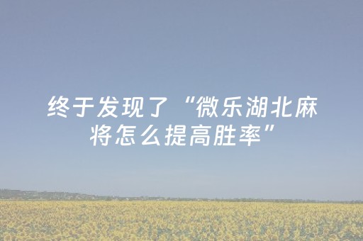 终于发现了“微乐湖北麻将怎么提高胜率”（详细透视教程）-哔哩哔哩