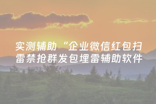 实测辅助“企业微信红包扫雷禁抢群发包埋雷辅助软件”（详细透视教程）-哔哩哔哩