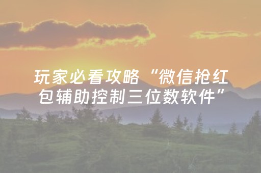 玩家必看攻略“微信抢红包辅助控制三位数软件”（详细透视教程）-哔哩哔哩