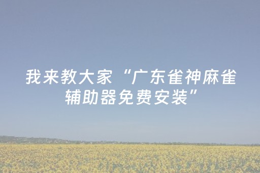我来教大家“广东雀神麻雀辅助器免费安装”（详细透视教程）-哔哩哔哩