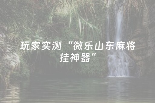 玩家实测“微乐山东麻将挂神器”（详细透视教程）-哔哩哔哩