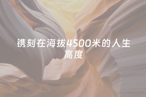 镌刻在海拔4500米的人生高度