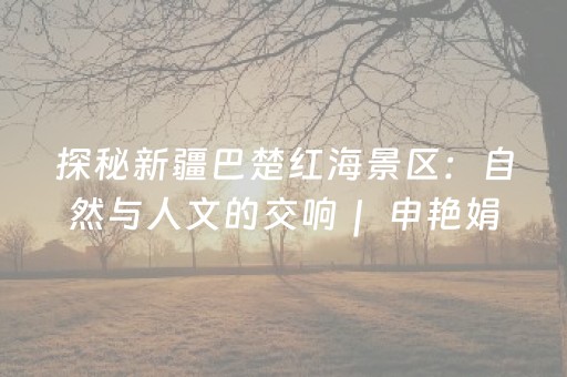 玩家必看教程！“微乐手机麻将十打九赢神器”（详细开挂教程）-哔哩哔哩