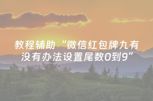 教程辅助“微信红包牌九有没有办法设置尾数0到9”（详细透视教程）-哔哩哔哩