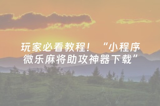 玩家必看教程！“小程序微乐麻将助攻神器下载”（详细透视教程）-哔哩哔哩