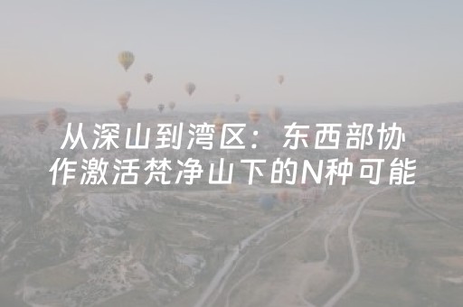 实测分享“微乐辽宁麻将助赢神器购买”（详细开挂教程）-哔哩哔哩