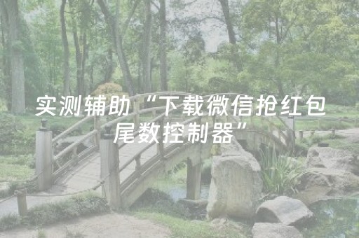 实测辅助“下载微信抢红包尾数控制器”（详细透视教程）-哔哩哔哩