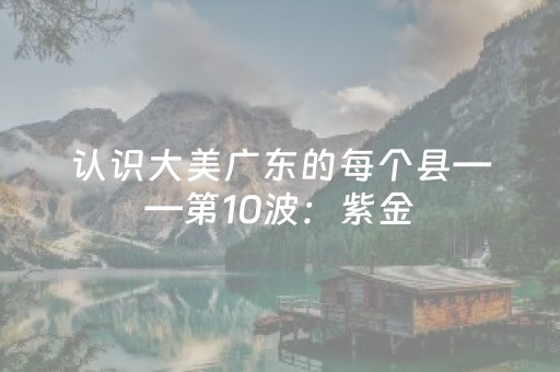 必看教程“微乐麻将自建房有挂吗”（详细透视教程）-哔哩哔哩