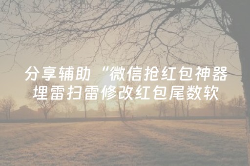 分享辅助“微信抢红包神器埋雷扫雷修改红包尾数软件”（详细透视教程）-哔哩哔哩