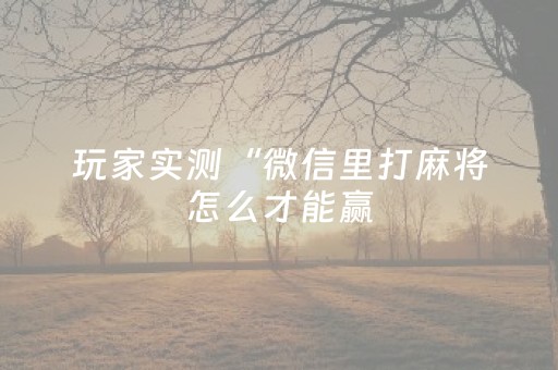 境外导游在琼执业可申请“通行证”