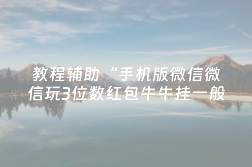 今日实测“微乐山东麻将如何增加胜率”（详细透视教程）-哔哩哔哩