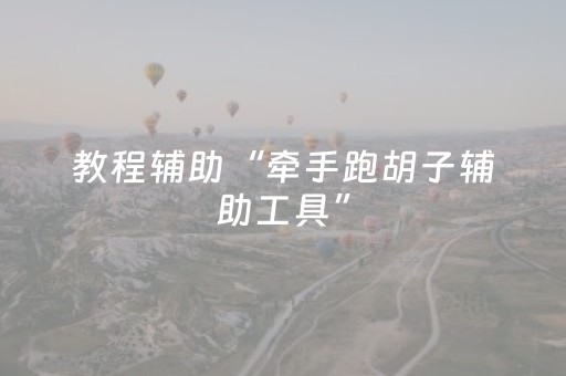 教程辅助“牵手跑胡子辅助工具”（详细透视教程）-哔哩哔哩