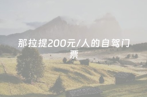 3分钟学会“微乐广东麻将神器”（详细透视教程）-哔哩哔哩