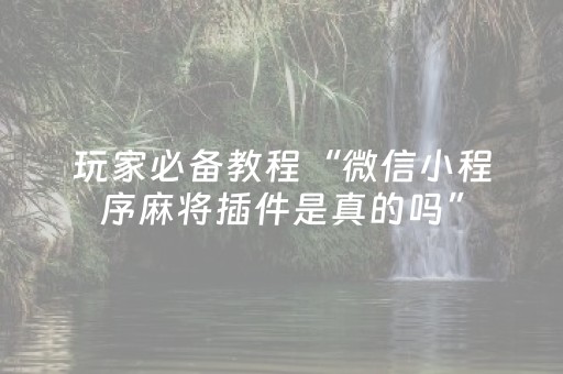 玩家必备教程“微信小程序麻将插件是真的吗”（详细透视教程）-哔哩哔哩