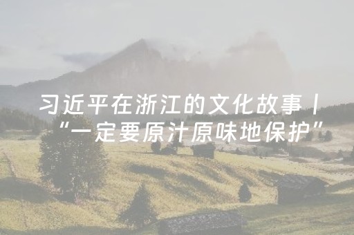 习近平在浙江的文化故事丨“一定要原汁原味地保护”