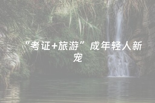 必看教程！“小程序麻将控牌购买”（详细辅助教程）-哔哩哔哩