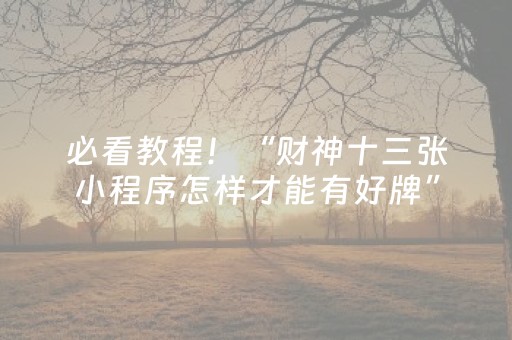 必看教程！“财神十三张小程序怎样才能有好牌”（详细透视教程）-哔哩哔哩