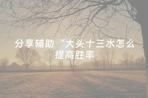 分享辅助“大头十三水怎么提高胜率（助赢神器通用版）